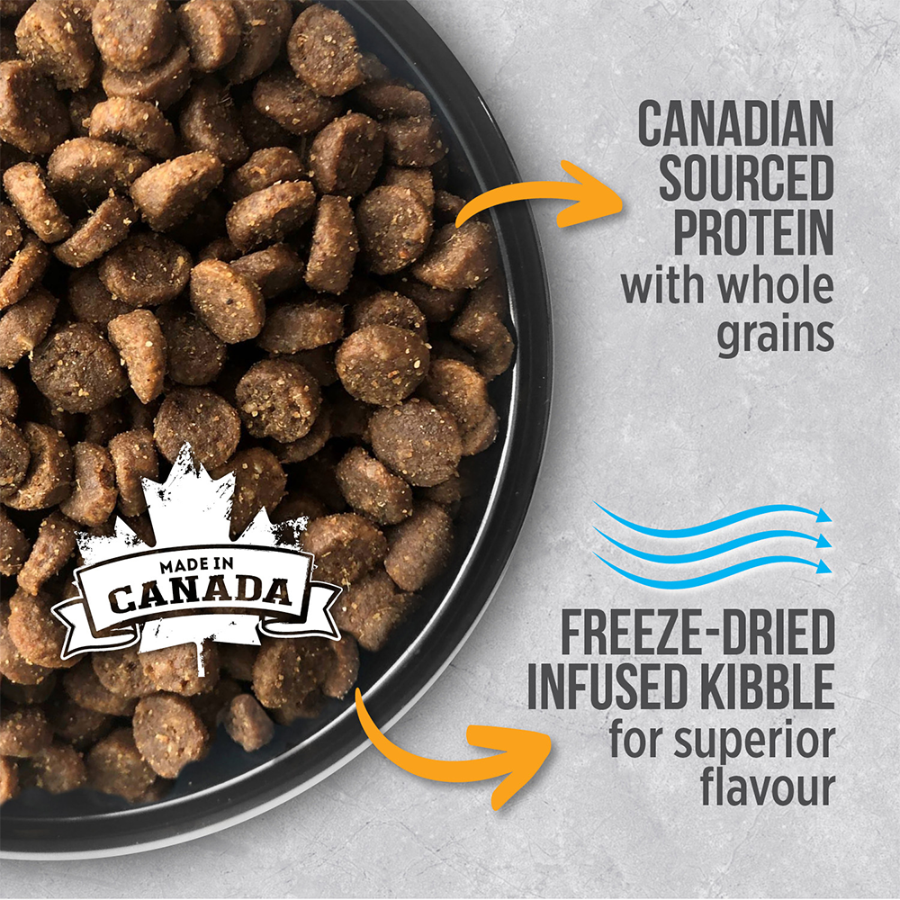 Nutrience Infusion Dry Cat Food Healthy Adult Chicken 06