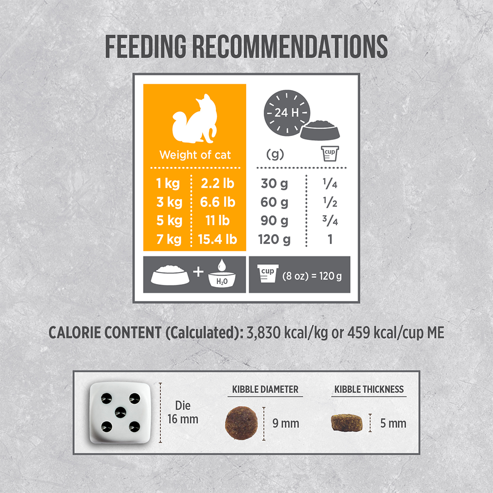 Nutrience Infusion Dry Cat Food Healthy Adult Chicken 08