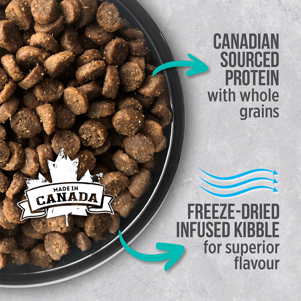 Nutrience Infusion Dry Cat Food Adult Indoor Chicken 06