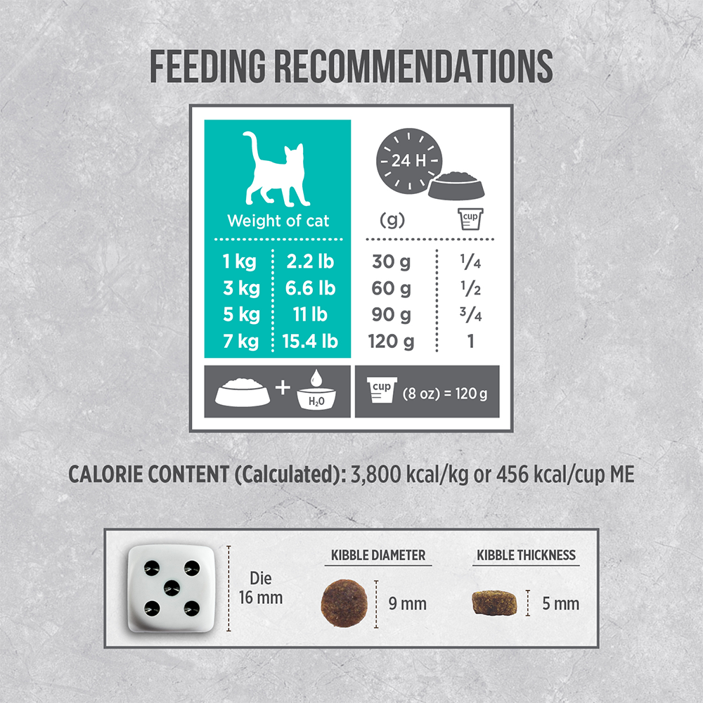 Nutrience Infusion Dry Cat Food Adult Indoor Chicken 08