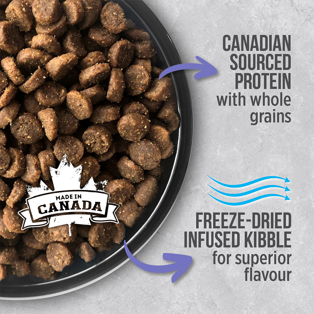 Nutrience Infusion Dry Cat Food Adult Weight Control Chicken 06