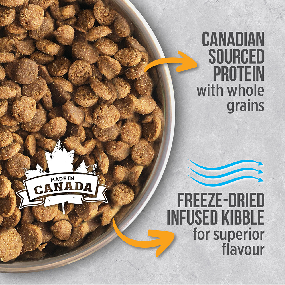 Nutrience Infusion Dry Dog Food Adult Small Breed Chicken 06