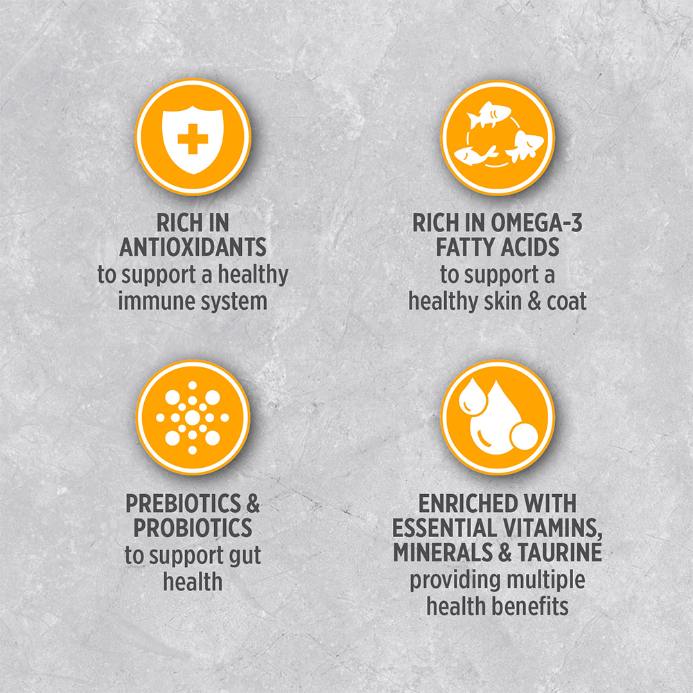 Nutrience Infusion Dry Dog Food Adult Large Breed Chicken 05