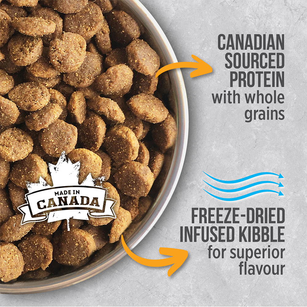 Nutrience Infusion Dry Dog Food Adult Large Breed Chicken 06