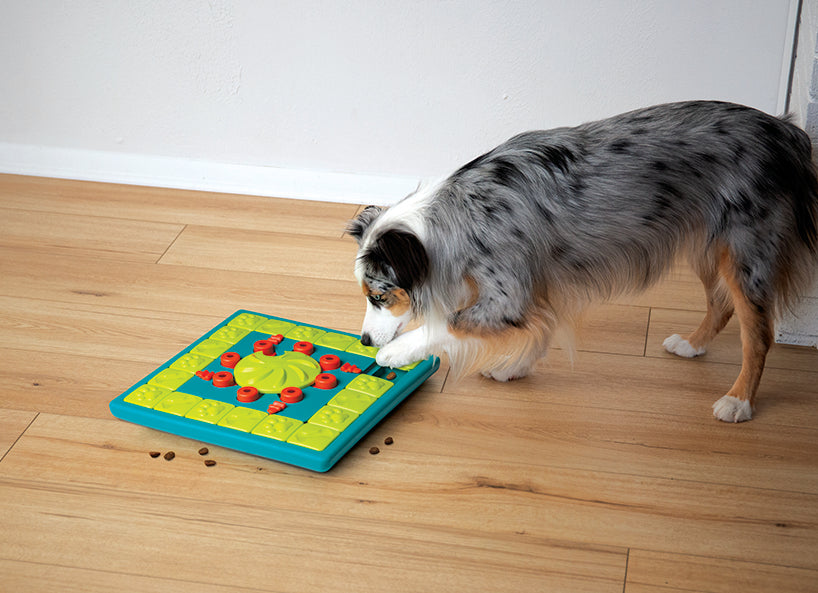 Nina Ottosson Dog Multipuzzle Game - Level 4