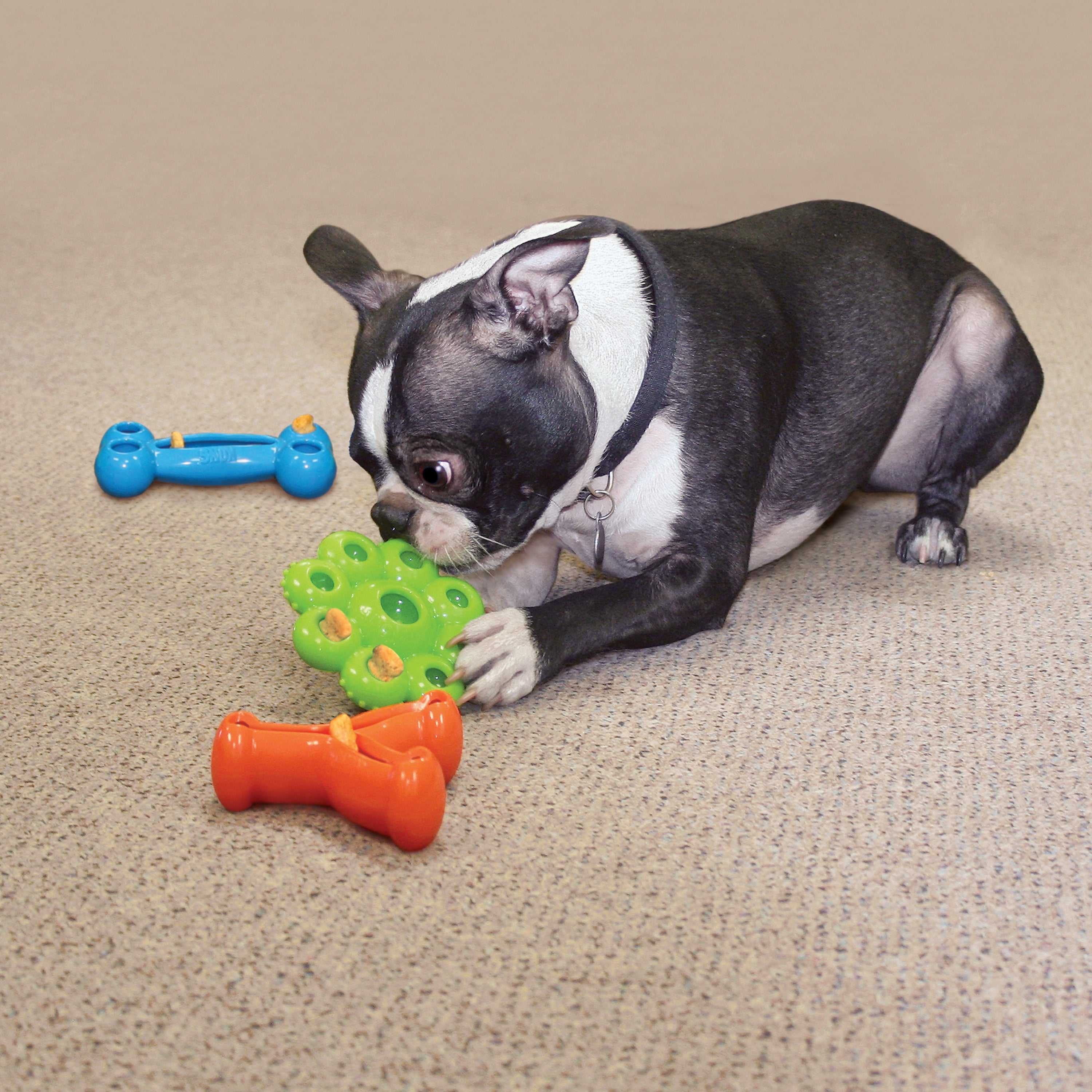 KONG Dog Toys Quest Wishbone Assorted 05