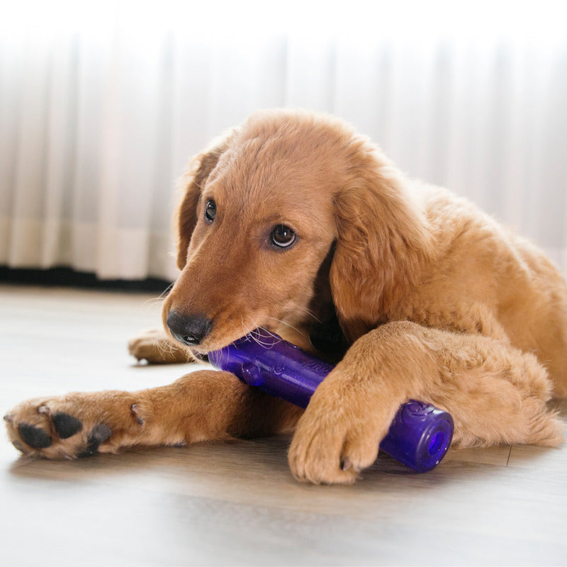 KONG Dog Toys Squeezz Stick Assorted 05
