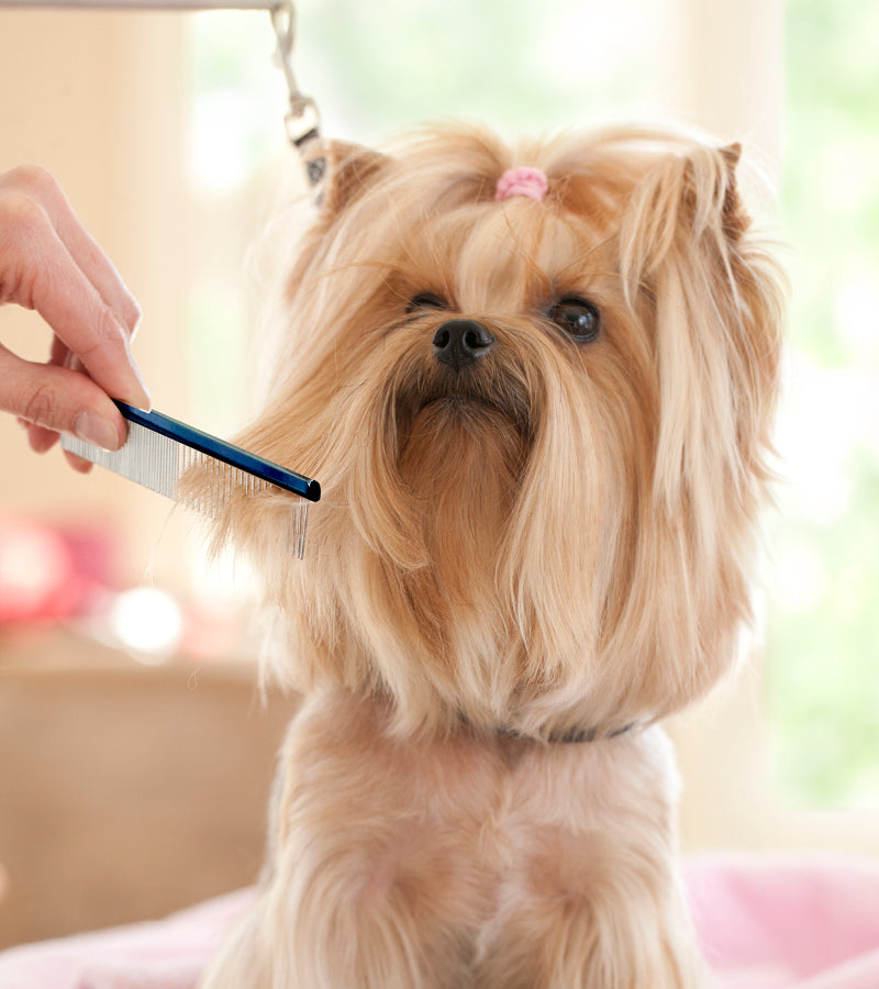 Plush Puppy Professional Grooming Combs C003 Grooming Combs 02