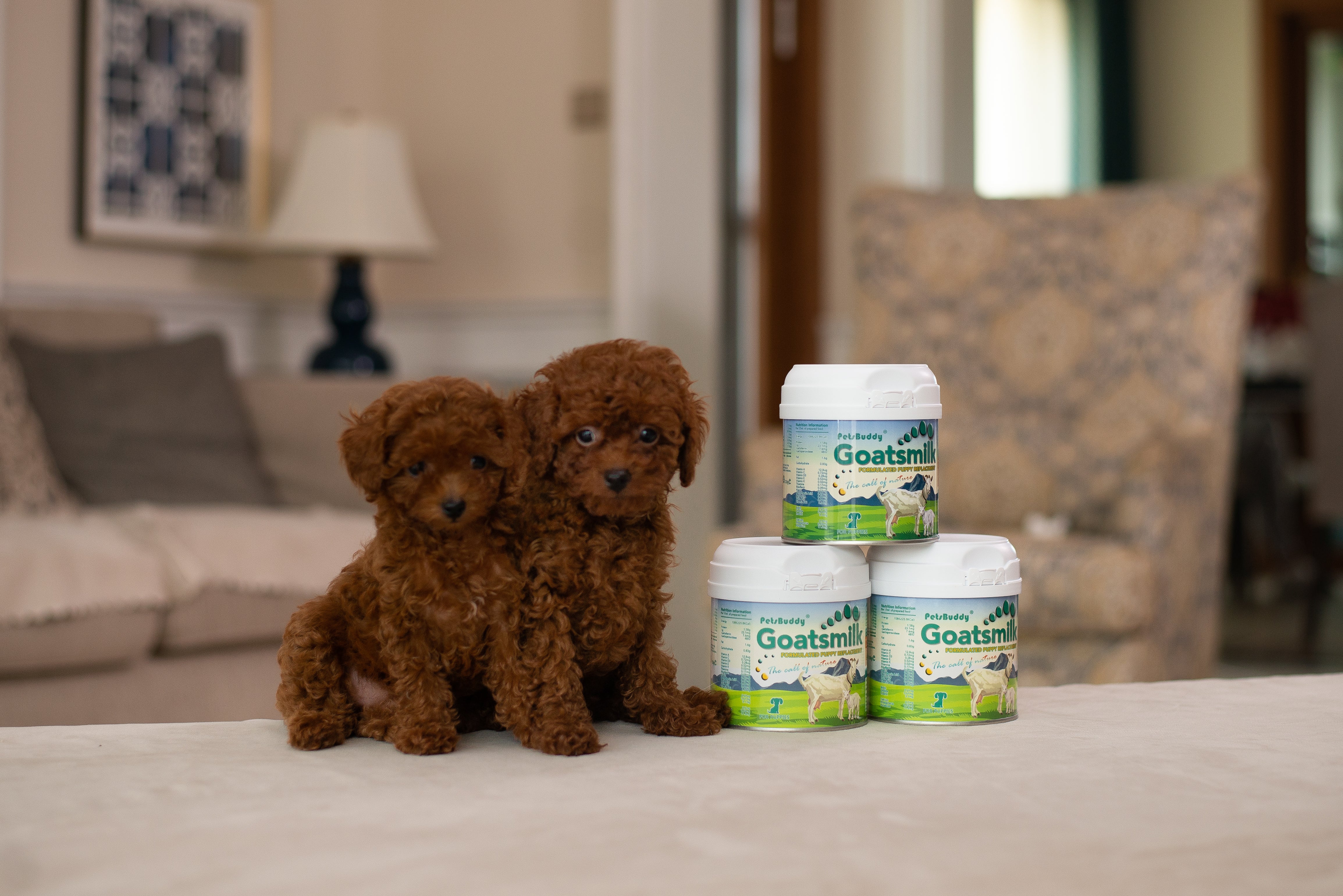 PetsBuddy Goatsmilk Formulated Puppy Replacement