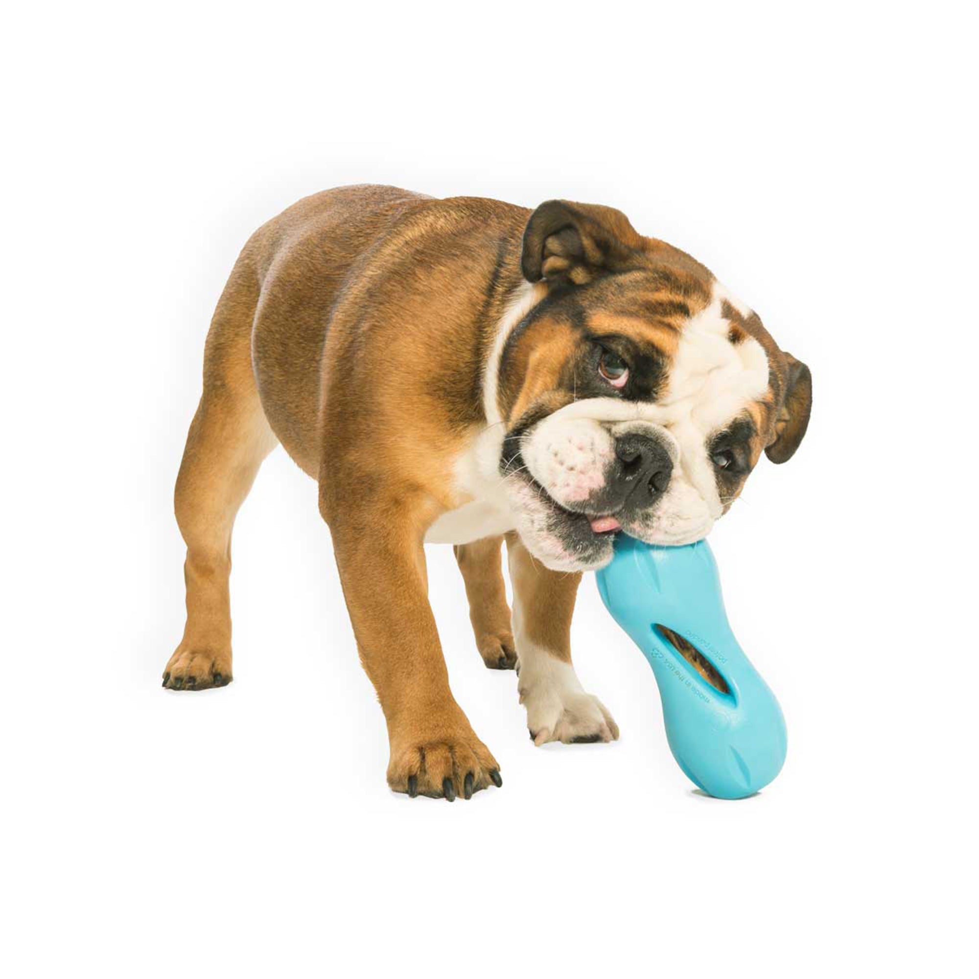 West Paw Qwizl Treat Dispensing Dog Toy - Large by PeekAPaw