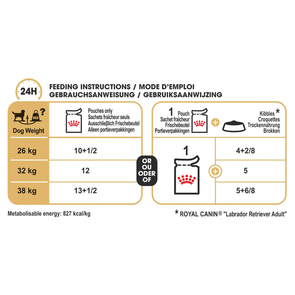 Royal Canin Labrador Retriever 140gx10 Pouches | PeekAPaw Pet Supplies