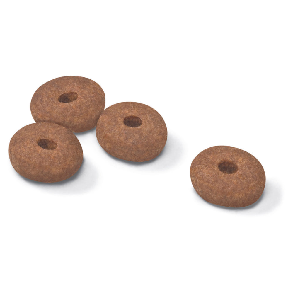 Royal Canin Mini Light Weight Care -Kibble| PeekAPaw Pet Supplies