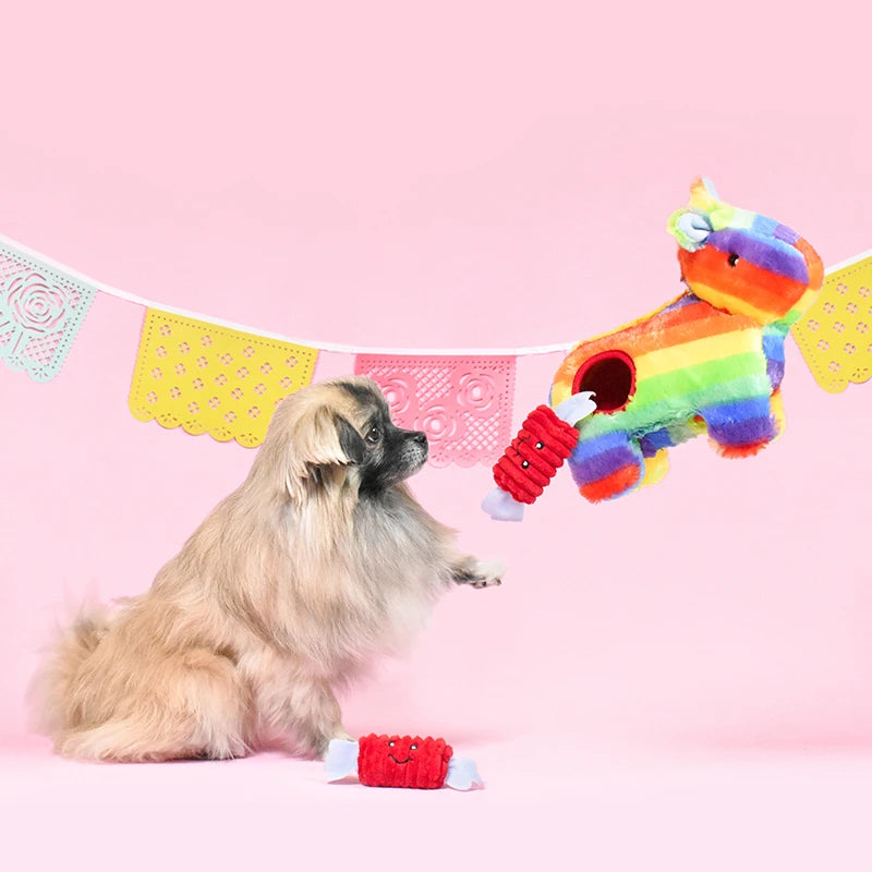 Fluffy dog at a pink party setting with a Zippy Paws Burrow rainbow pinata dog toy