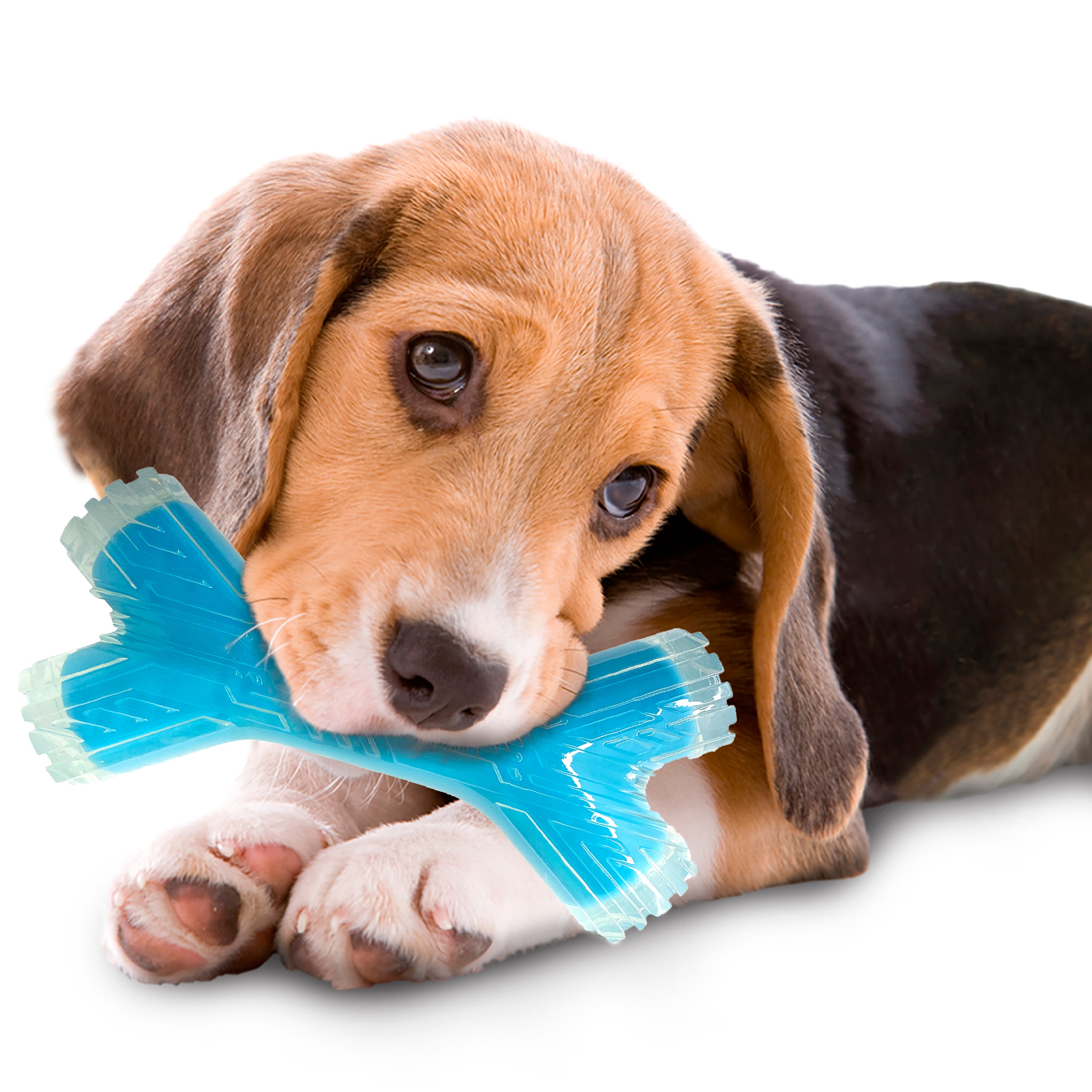 Nerf Scentology Dog Toy - Twin Branch Peanut Butter & Bacon Clear/L.Blue 25cm 05