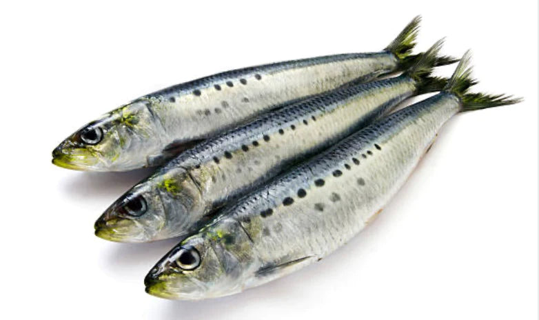 Freezy Paws Freeze Dried Whole Sardine Treats 03