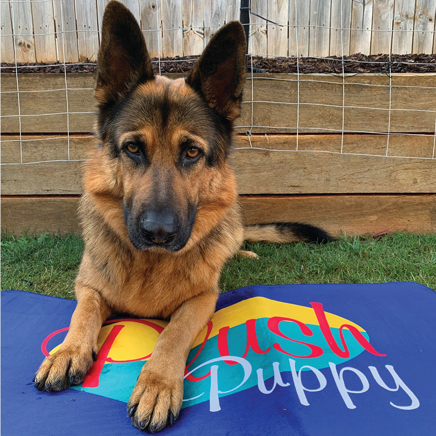 Plush Puppy Pro-Grooming Mat 02