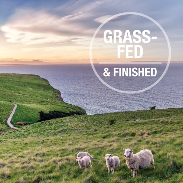 Feline Natural Freeze Dried Lamb Green Tripe Booster 05