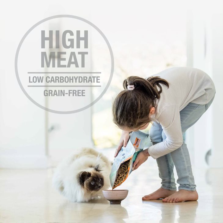 Feline Natural Freeze Dried Lamb & King Salmon Feast 02