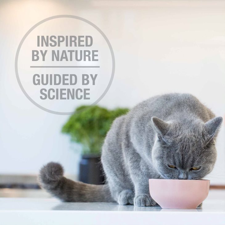 Feline Natural Freeze Dried Beef & Hoki Feast 03