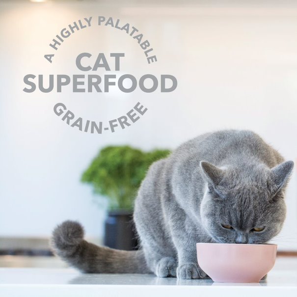 Feline Natural Freeze Dried Lamb Green Tripe Booster 04