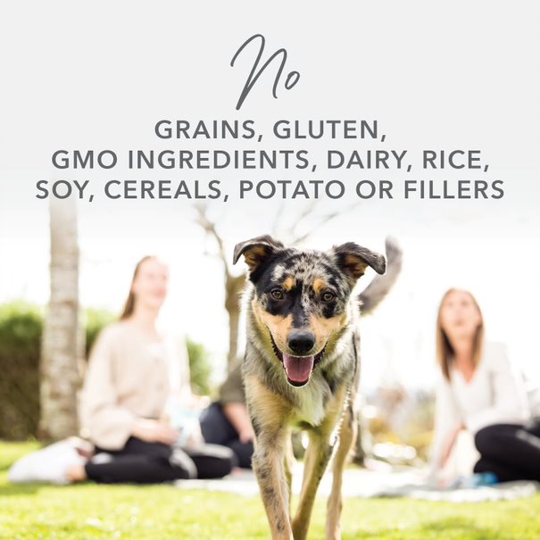 K9 Natural Canned Lamb & Salmon Feast