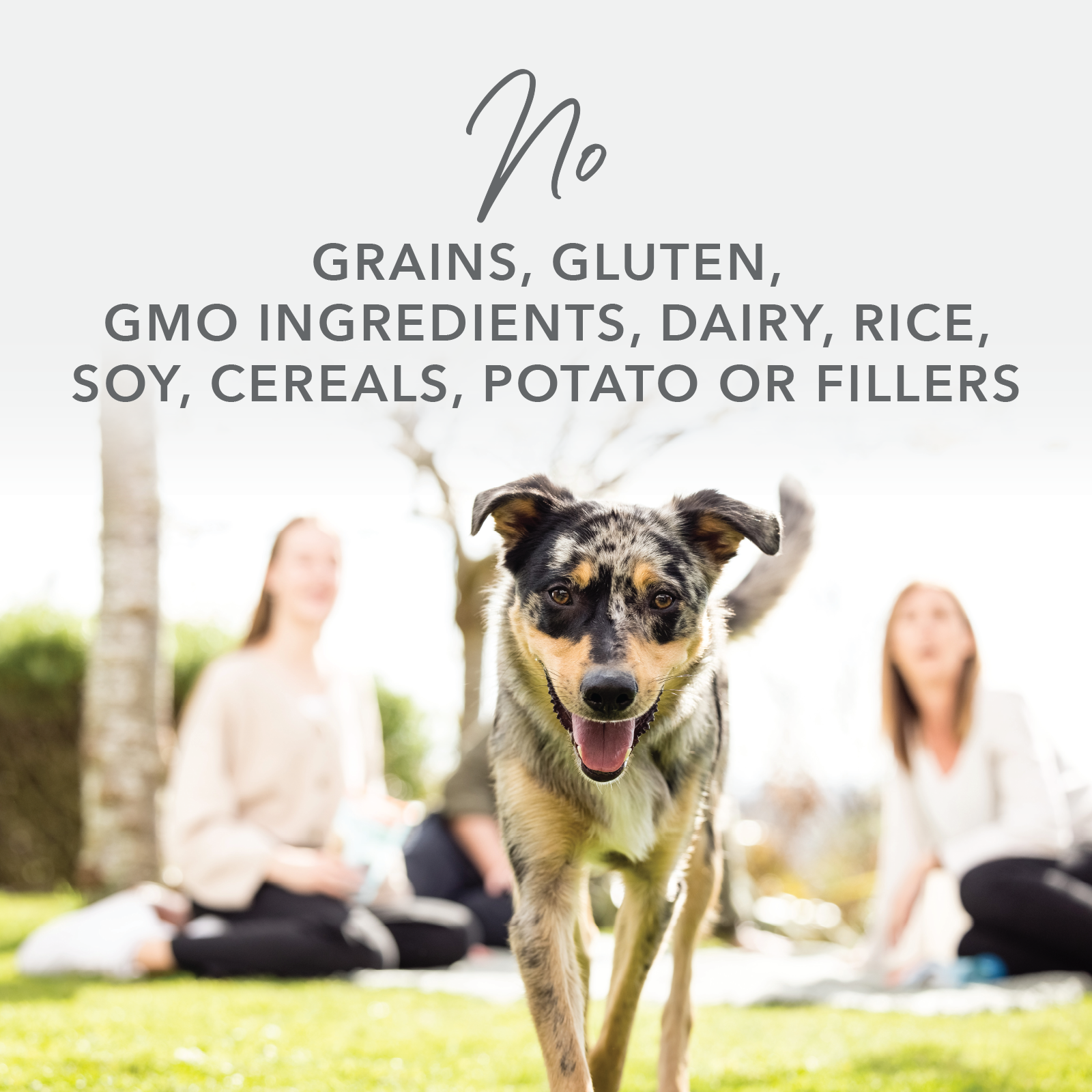 K9 Natural Freeze Dried Beef Feast Grain & Gluten Free