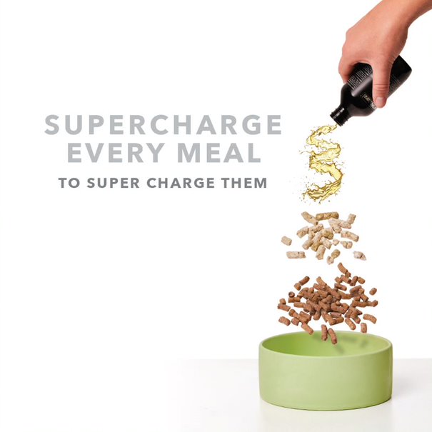 K9 Natural Oils Skin & Coat Health