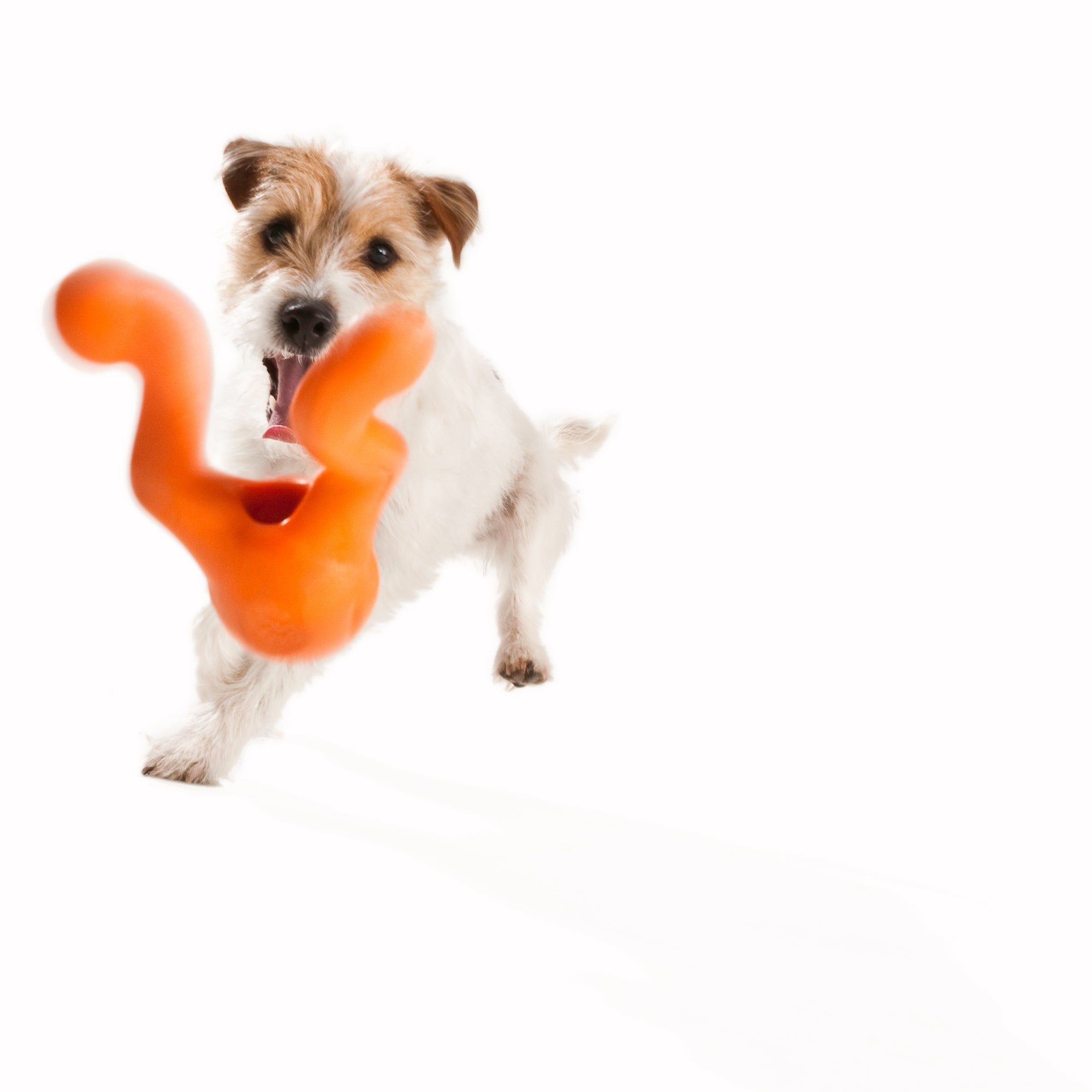 West Paw Tizzi Treat & Tug Toy for Tough Dogs - Large by PeekAPaw