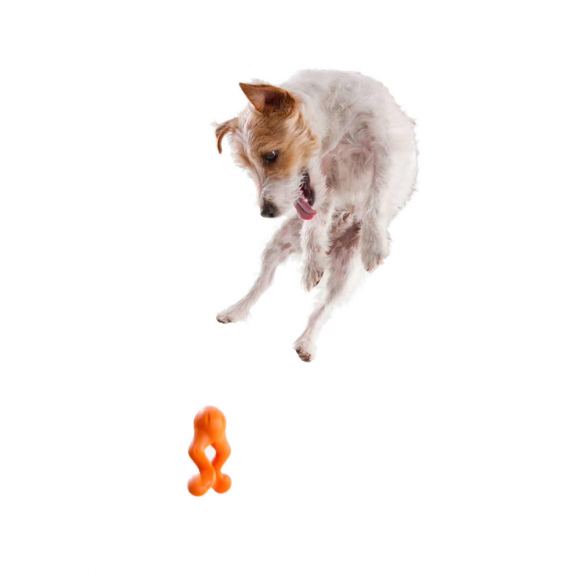 West Paw Tizzi Treat & Tug Toy for Tough Dogs - Small by PeekAPaw