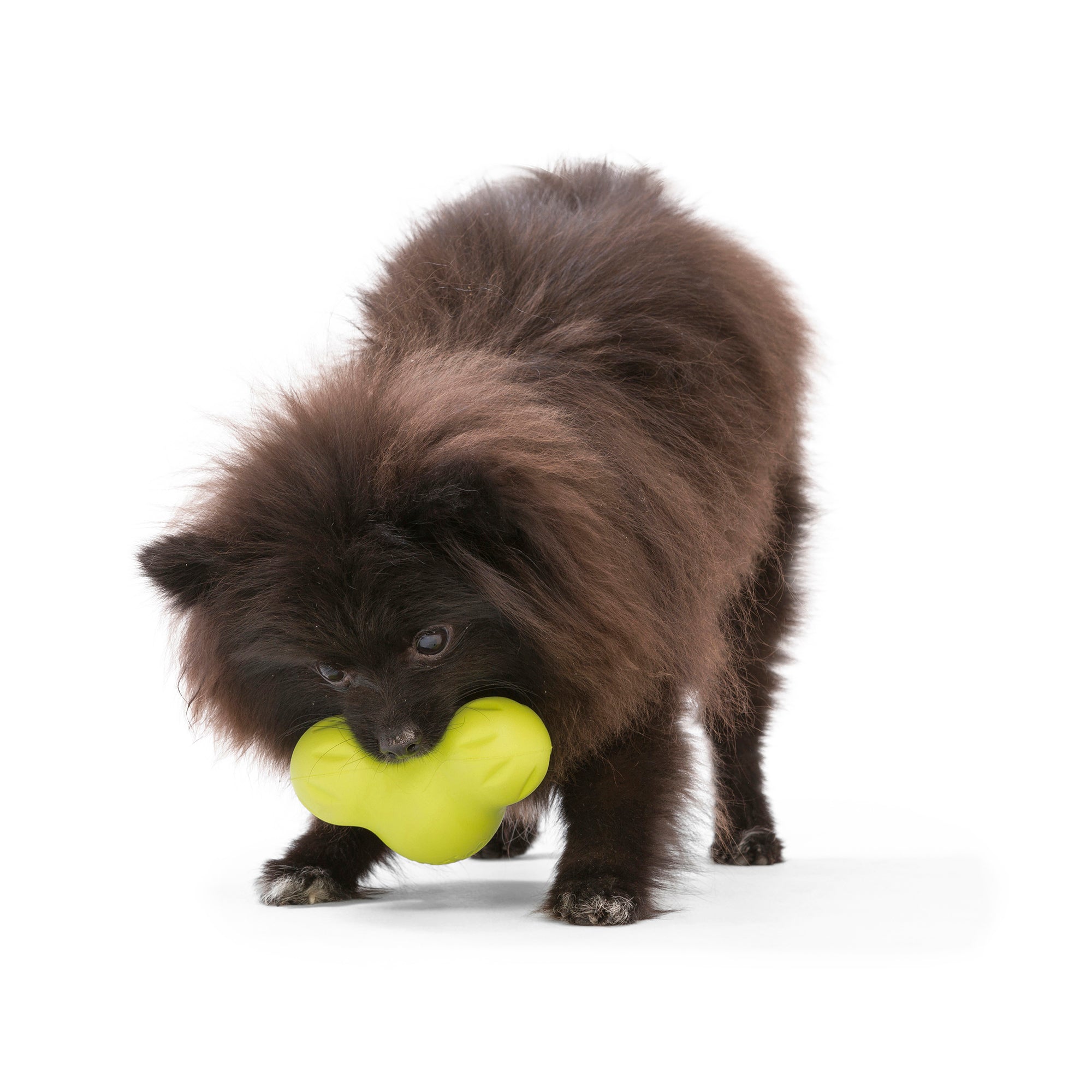 West Paw Tux Treat Dispenser for Tough Dogs - Small by PeekAPaw