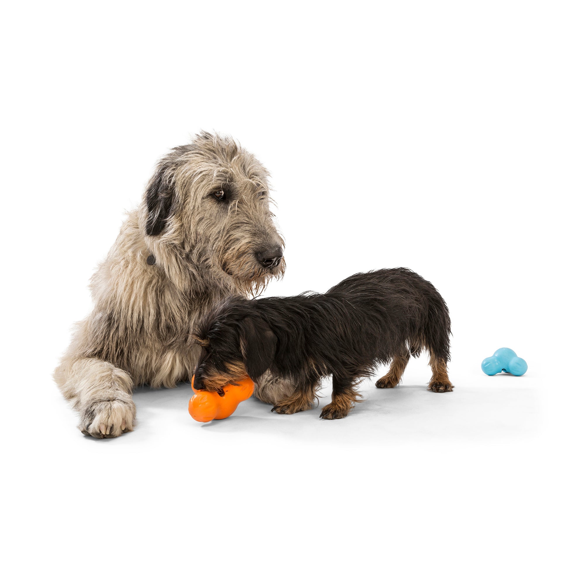 West Paw Tux Treat Dispenser for Tough Dogs - Large by PeekAPaw