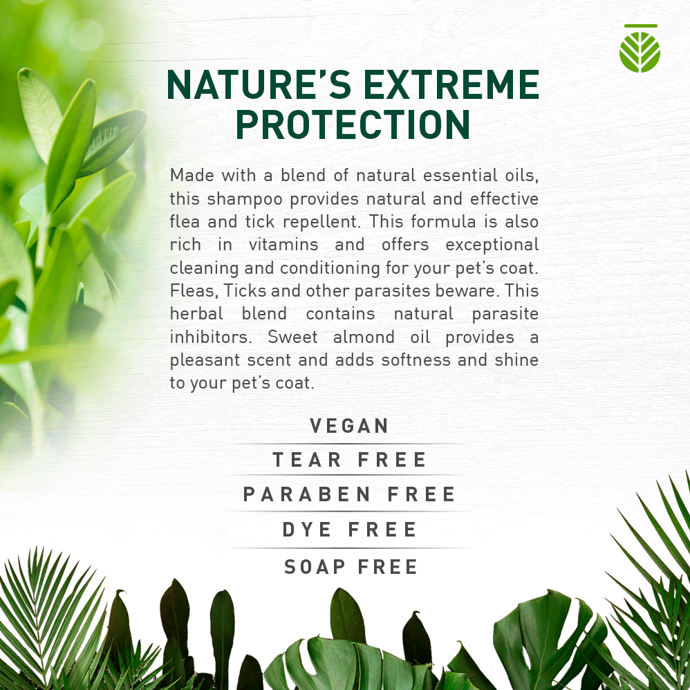 Amazonia Herbal Shampoo Nature's Extreme Protection for Dogs 04