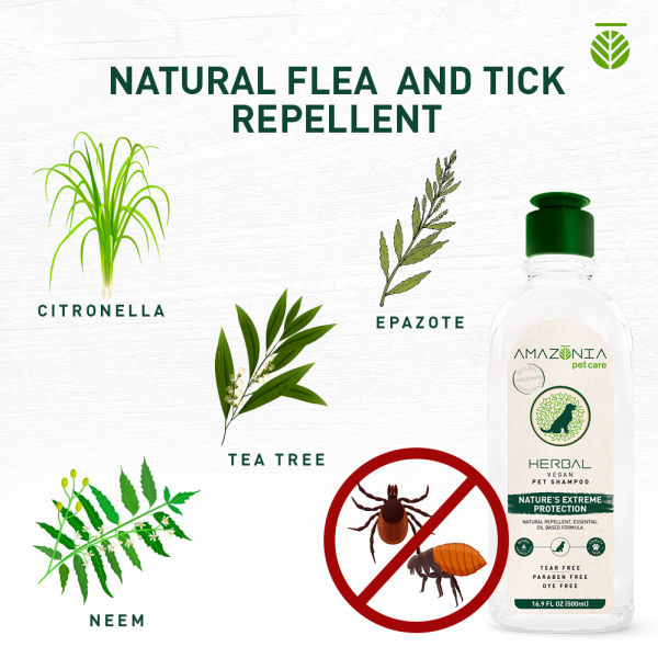 Amazonia Herbal Shampoo Nature's Extreme Protection for Dogs 06