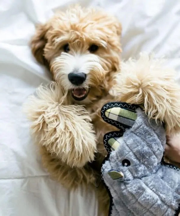 Zippy Paws Dog Toys Plush Grunterz Z-Stitch - Ronny the Black Rhino 03