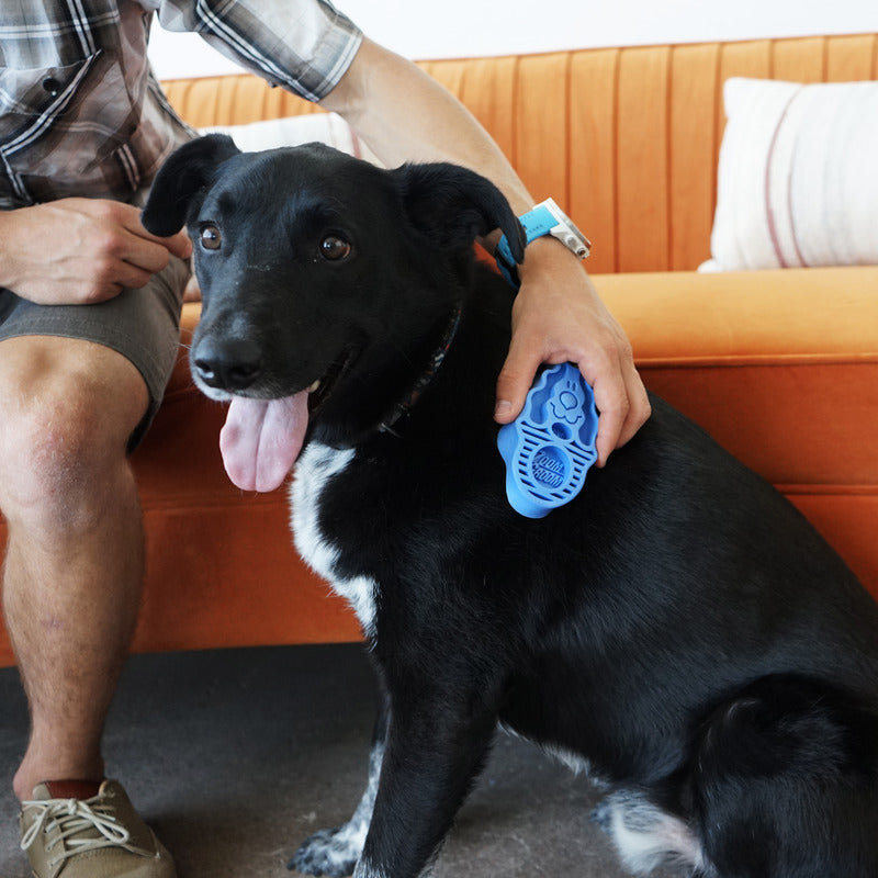 KONG Dog Toys ZoomGroom 06