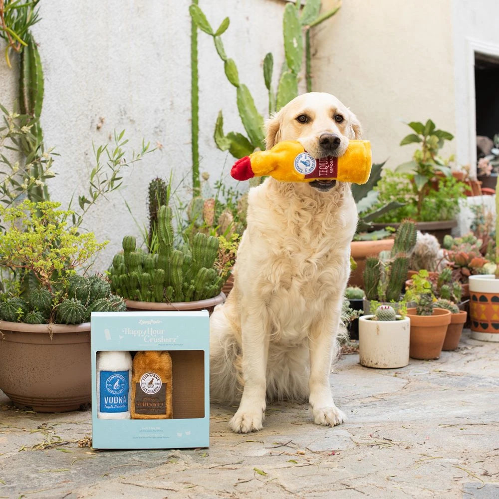 Retriever outdoors carrying a Zippy Paws Happy Hour Crusherz plush bottle dog toy