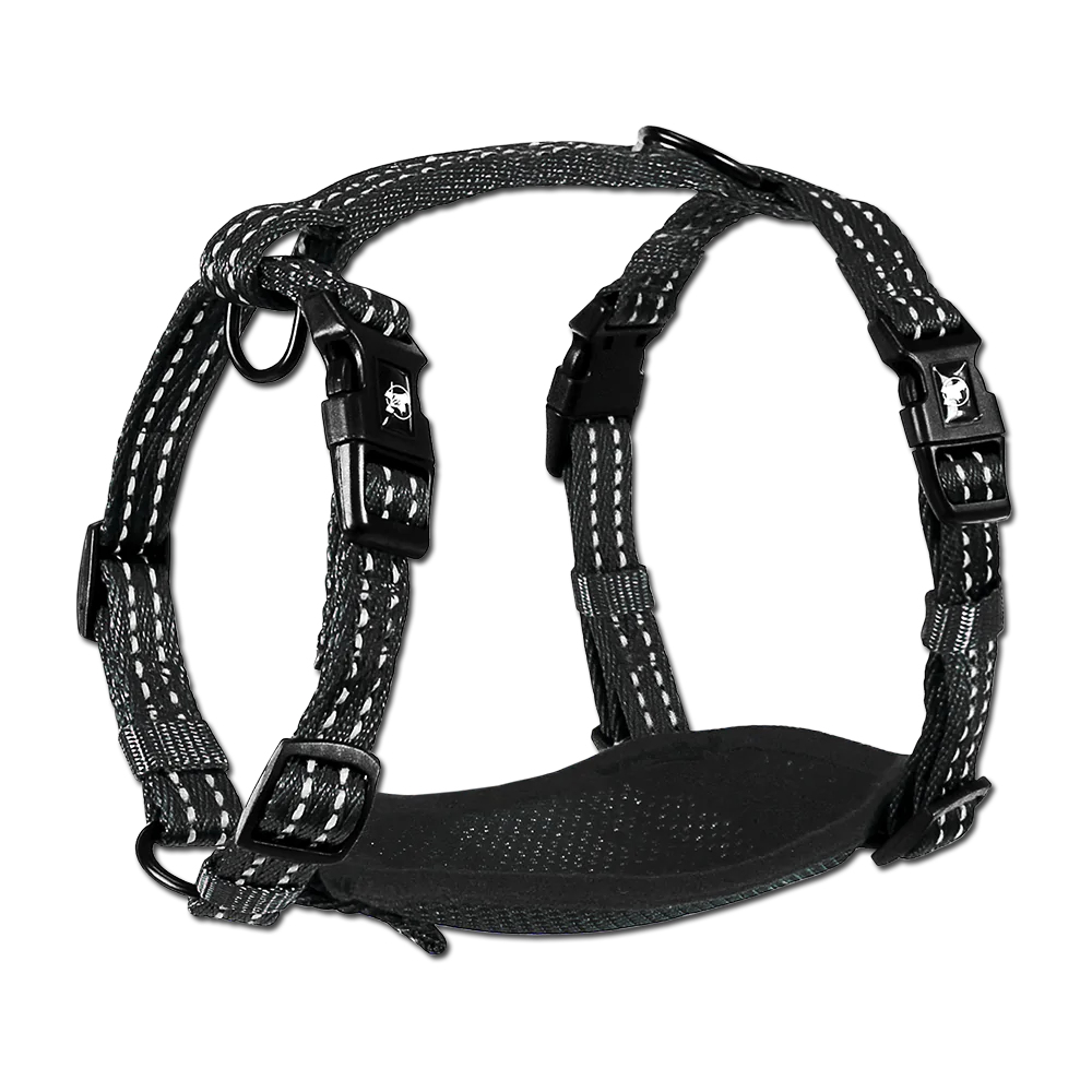 Alcott Adventure Nylon Dog Harness Set - Black