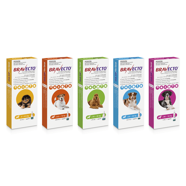 Bravecto Dog Spot On Yellow 2-4.5kg 02