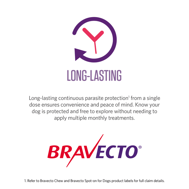 Bravecto Dog Spot On Orange 4.5-10kg 03