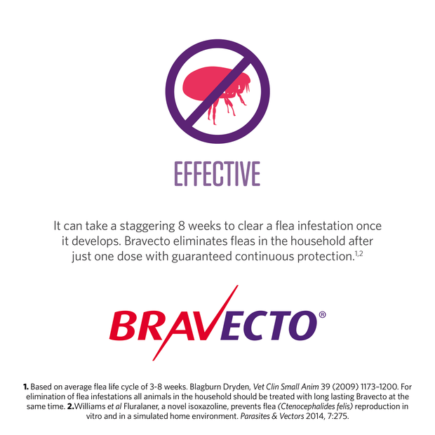 Bravecto Dog Spot On Green 10-20kg 04