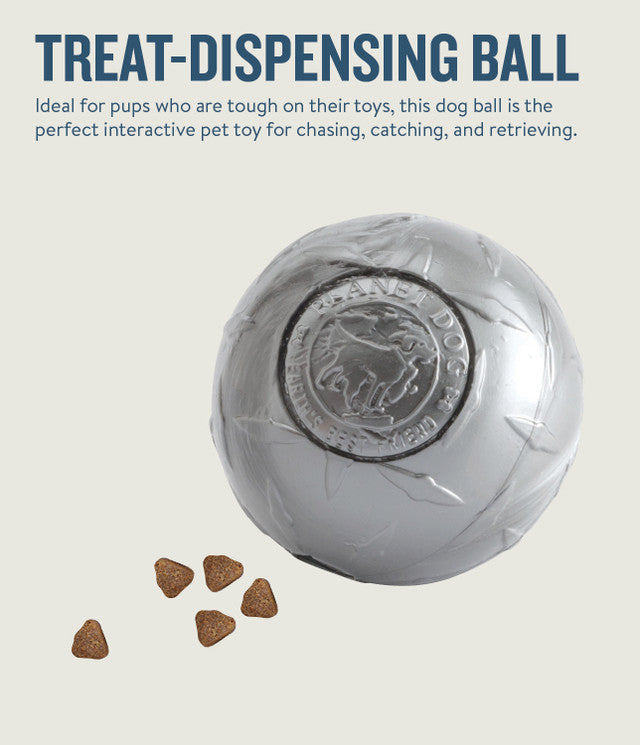 Planet Dog Orbee-Tuff Diamond Plate Ball Treat-Dispensing Dog Toy