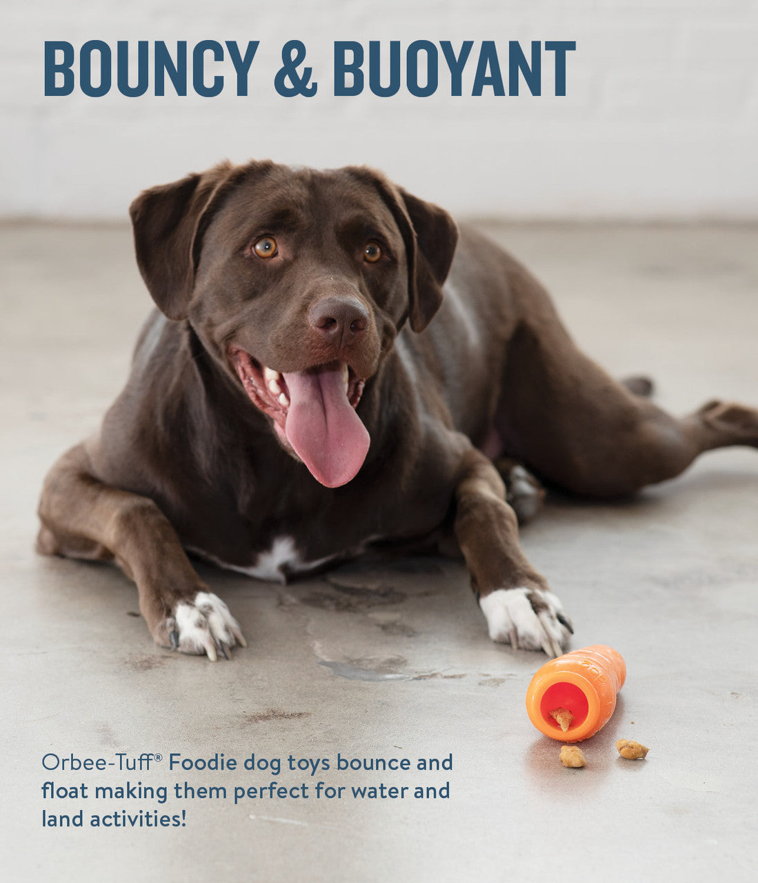 Planet Dog Orbee-Tuff Carrot Treat-Dispensing Dog Chew Toy