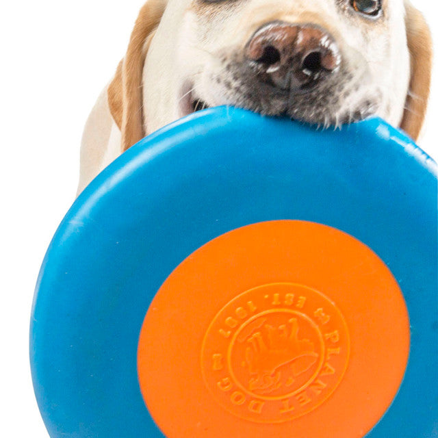 Planet Dog Orbee-Tuff Zoom Flyer Disc Dog Fetch Toy Blue & Orange