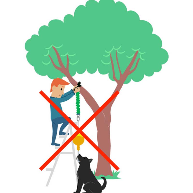 Aussie Dog Home Alone Dog Toy 07