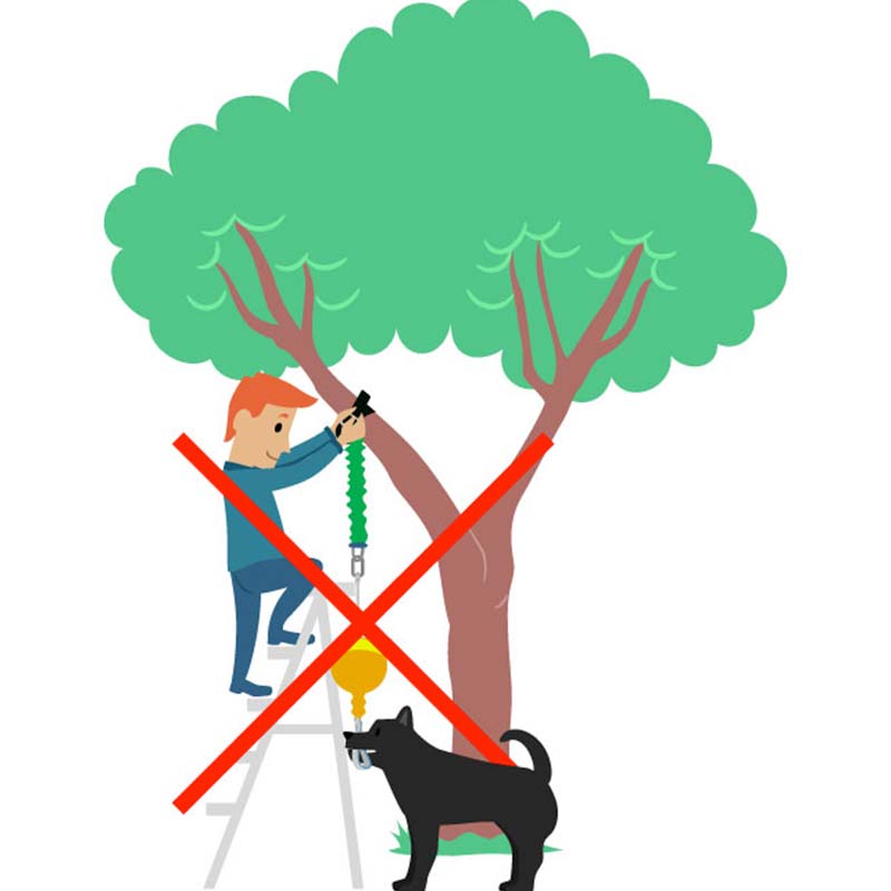 Aussie Dog Home Alone Dog Toy 06