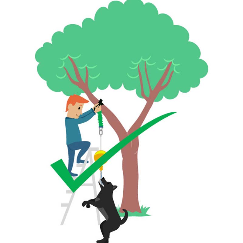 Aussie Dog Home Alone Dog Toy 08