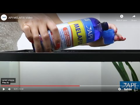 API Pond Care Melafix 02