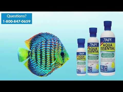 API Aqua Essential 01