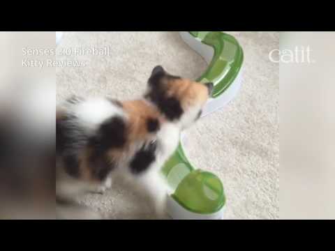 Catit Cat Toys Sense 2.0 Fireball 05