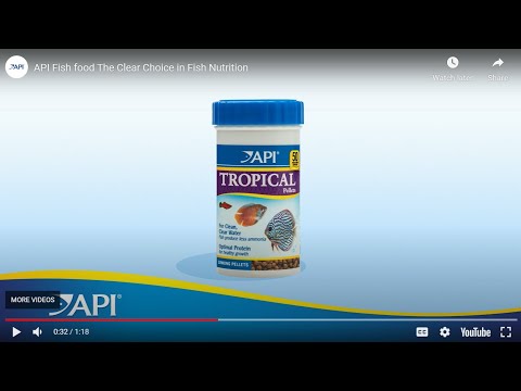 API Floating Cichlid Pellets Large 04